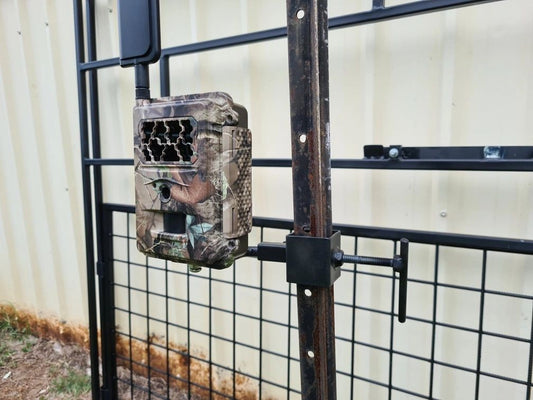 Trail Cam Mount